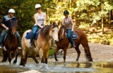 horse riding-1555318376